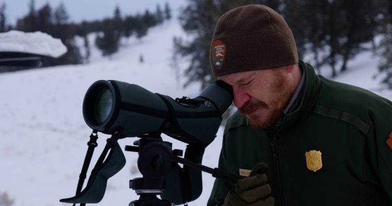 Dan Stahler Scope